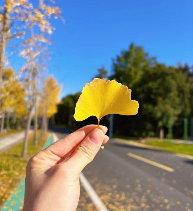 丹徒这几条路，真不想让太多人知道！