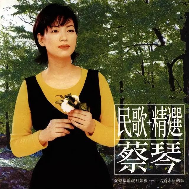万元级低音炮新选择，卫道声学Viator Sound SUB12低音炮评测