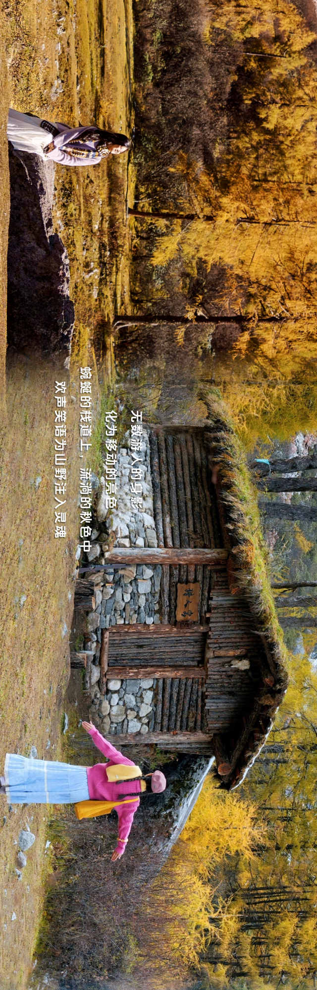 拍了拍毕棚沟的秋天：你的色彩已存档！