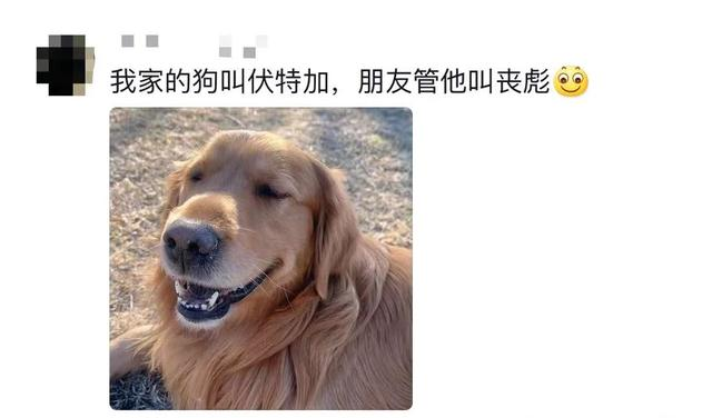原来宠物在外都有别的名字啊！养宠物的朋友们，你们都知道吗？