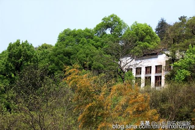 婺源篁岭旅游札记[三]（江西之旅第四十五篇）