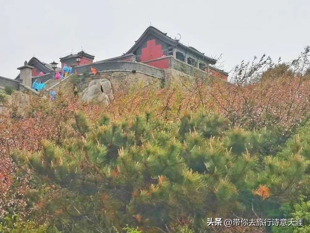 登泰山赏名家石刻，这些石刻都在必经之路上
