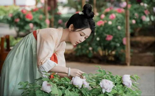 《国色芳华》蒋长扬为啥让牡丹做妾，不做正妻？这才是最好的结局