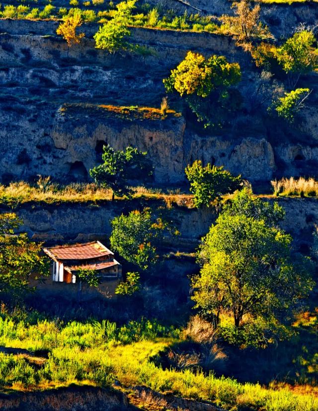 【白银文旅】冬已至秋渐远，再赏一波靖远的秋