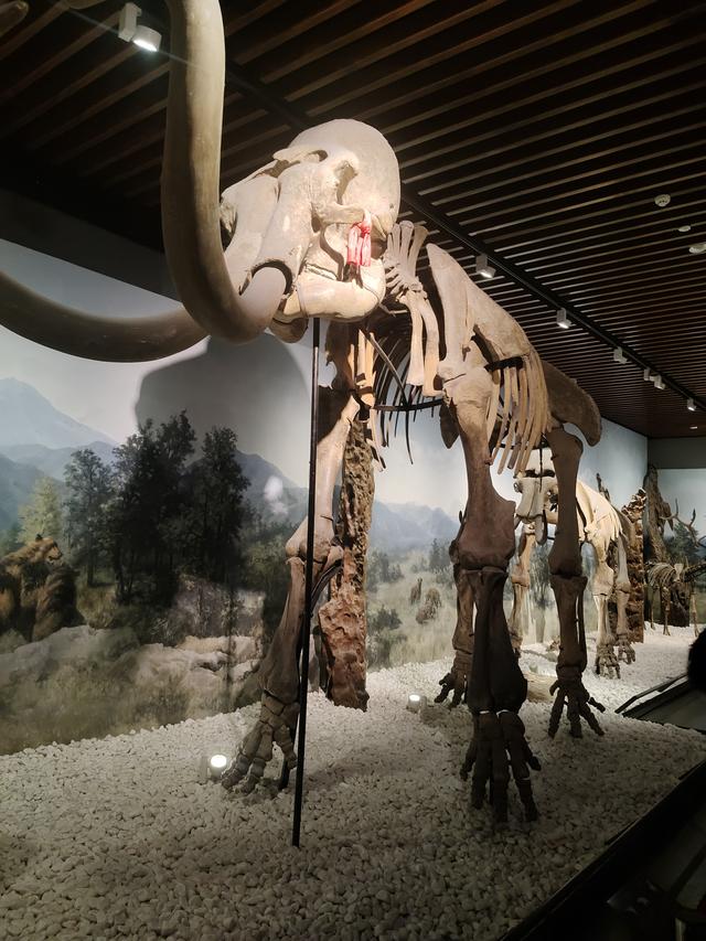 在南京博物院，与千年时光对话