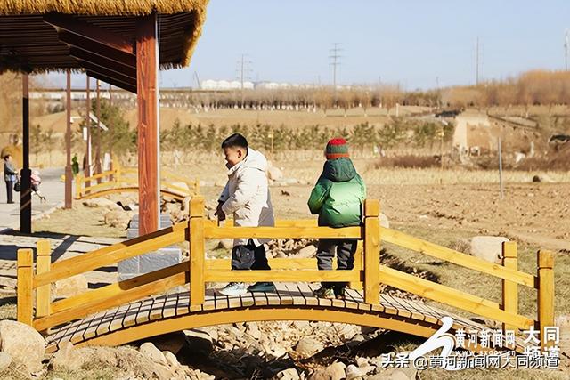 大同黄花公园“永定三生农谷”成新晋打卡地