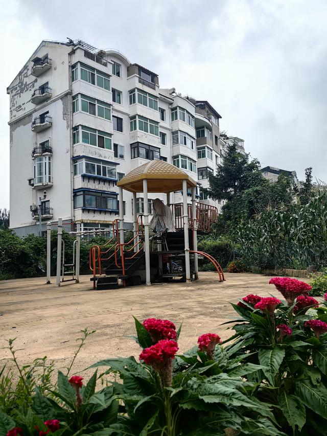 苏区新面貌