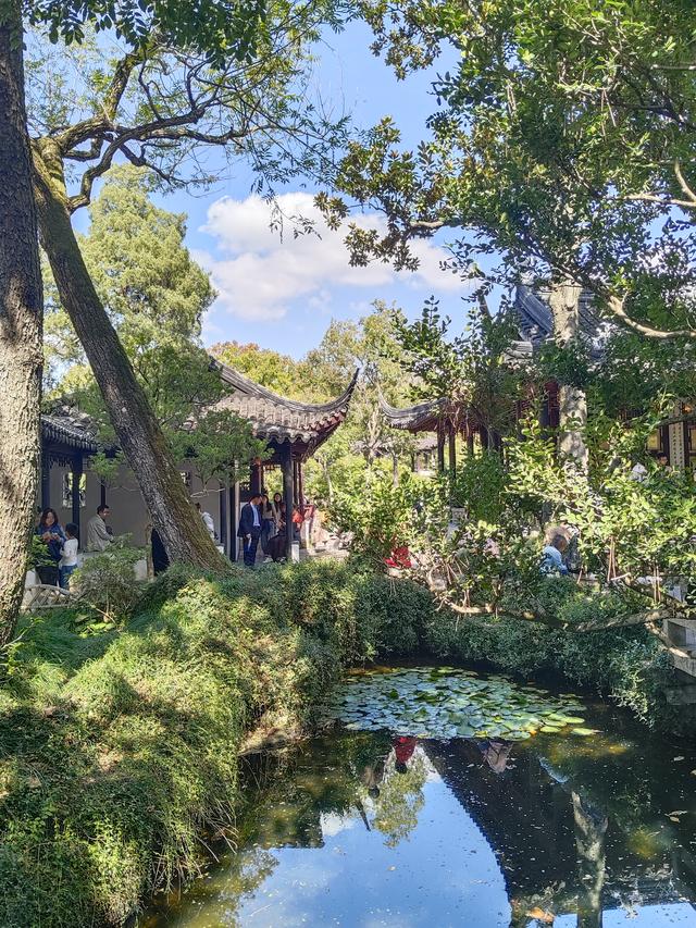 踏入苏州拙政园才懂得什么叫“一园藏尽江南梦”