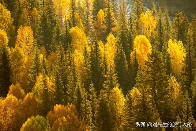 把秋天装进相册！这8个神仙目的地，让你拍出封神大片！