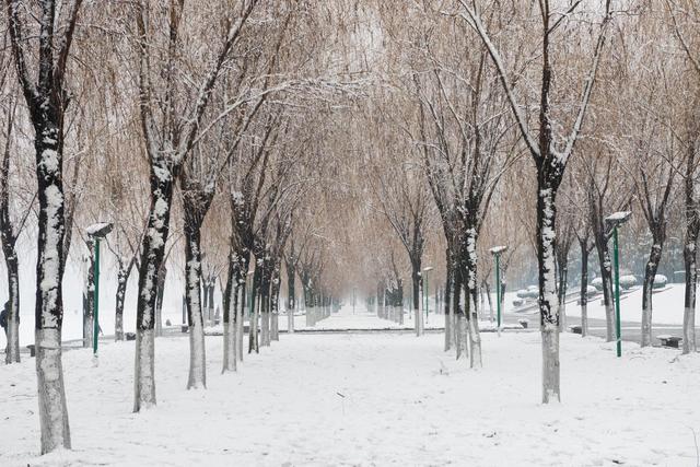 “冬雪多不多，就看秋分”，今日秋分，怎么看？今冬雨雪多吗？
