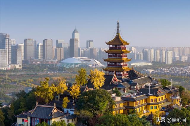 狼山景区赏秋正当时 金色银杏装点诗意山林