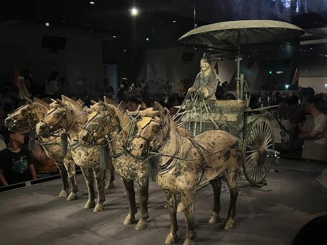 2025年暑假带娃错峰出游，西安+洛阳8天保姆级攻略