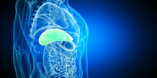 脂肪肝如何快速消除？医生教你4种消除方法，一定有一种适合你