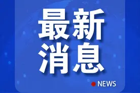 IMF：俄在碳税中获得的预算收入将全球最高图片