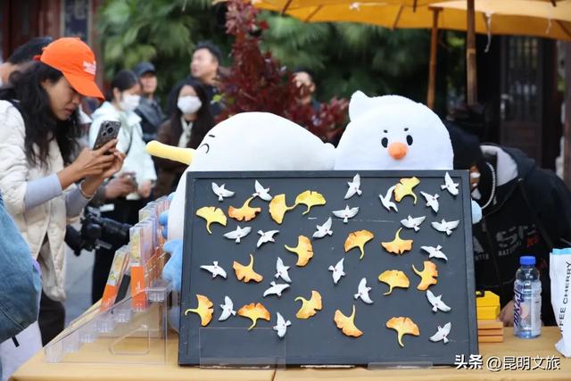 昆明五华赏杏观鸥全攻略！周五启幕！鸥舞翠湖+金黄杏叶，承包初冬浪漫