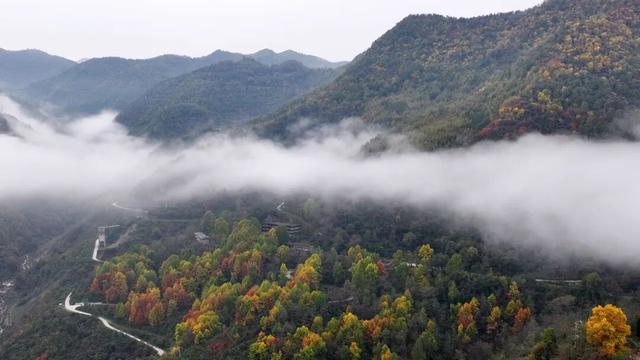 不到西坡，怎知秋色如许？