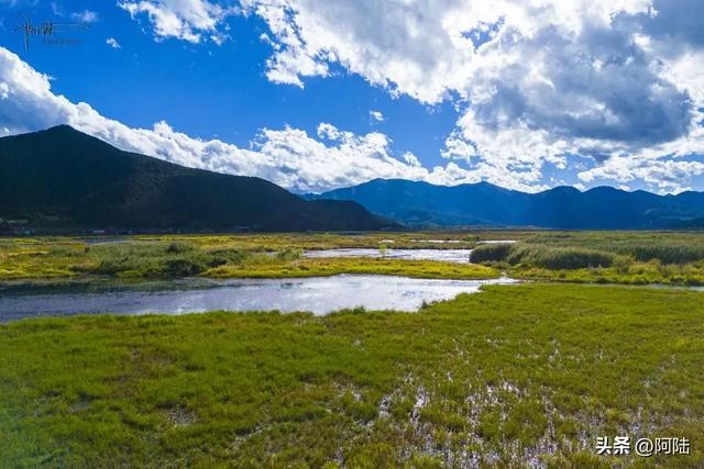 泸沽湖草海差点把我看吐了,到处是油画般的场景,能不能别这么美