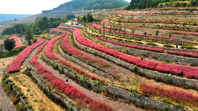 双节同庆 畅游山亭：特色线路攻略