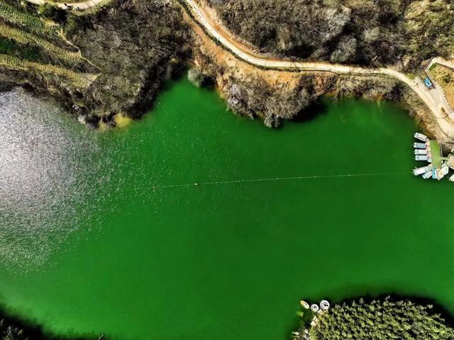 秋日限定美景，还不赶紧来拍？