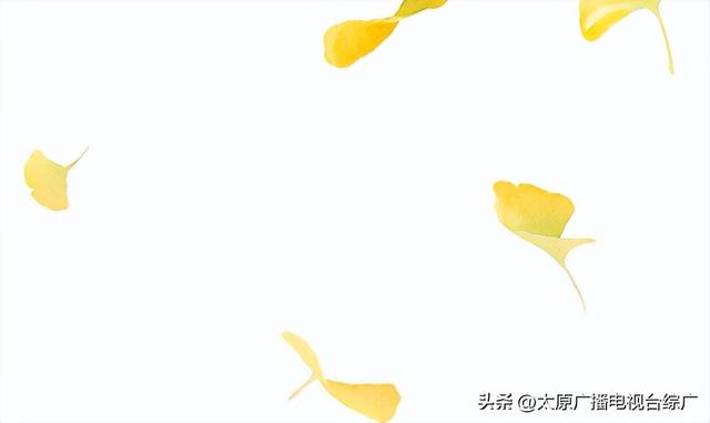 “歌迷专列”的含金量还在提升！