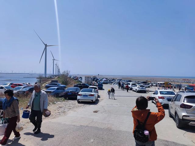 莱州海上长城,赶海好地方,没找到长城,两个遗憾也是美好回忆。