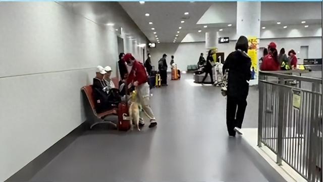 不听劝去日本的游客慌了，滞留机场连吃饭都成问题，当初为啥要去