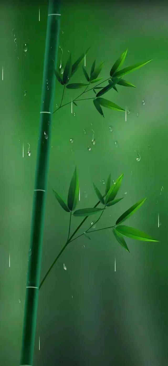 手机壁纸精美图片（124）