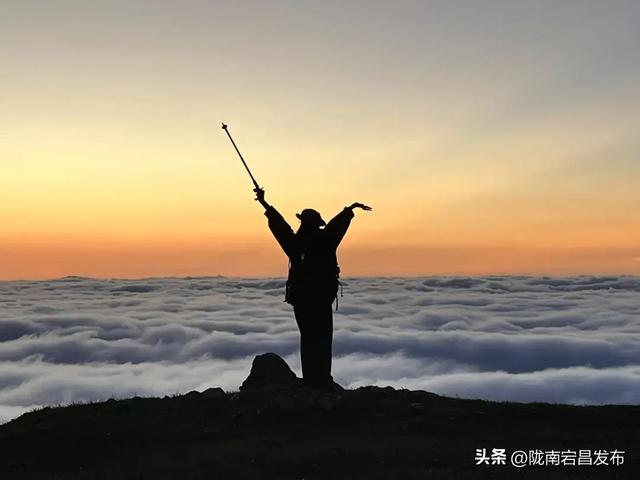宕·寻22°的夏天！甘肃宕昌：药乡山水调出清凉康养“大处方”