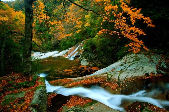 追了光雾山的红叶，这个秋天没白过！