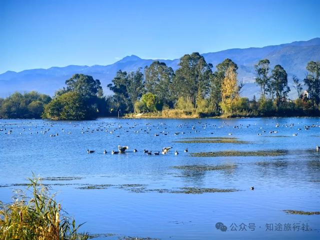 一年中最后一场华丽的秋色，鹤庆泸沽湖休闲5天游！11月底出发