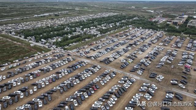 【情满双节游东营】黄河口生态旅游区 开启“人从众”模式 国庆精彩持续上演