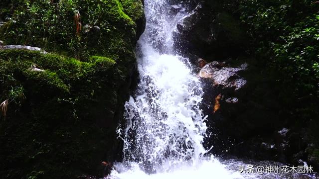 揭开龙陵古城山神秘面纱：层峦间藏着的世界级自然奇观