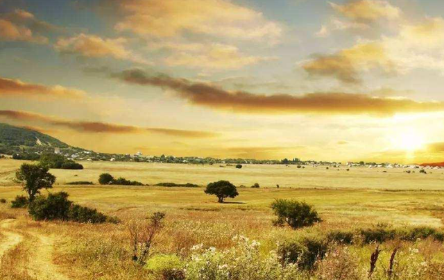 中国人为啥对酸味又爱又恨？一文讲清楚这背后的亿年演化历史