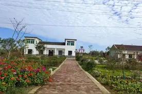 再不解决农村这三个迫在眉睫的问题，十年后农民或将永久消失图片