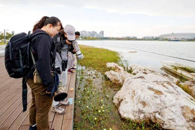 【美丽四川】探索成都：镜里镜外的山水美‖滕林君