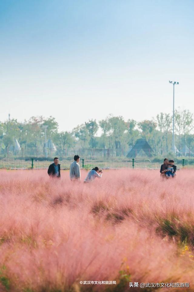 会玩的武汉人，都回村过秋天了