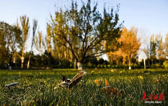 文瀛湖晚秋盛景上线!澄澈湖水与斑斓秋色撞个满怀,赏景正当时~
