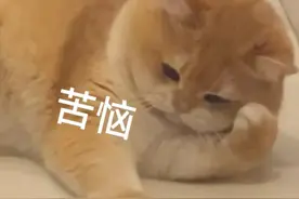 瘢痕？还是瘢痕疙瘩？皮肤科医生教您这样科学治疗！图片