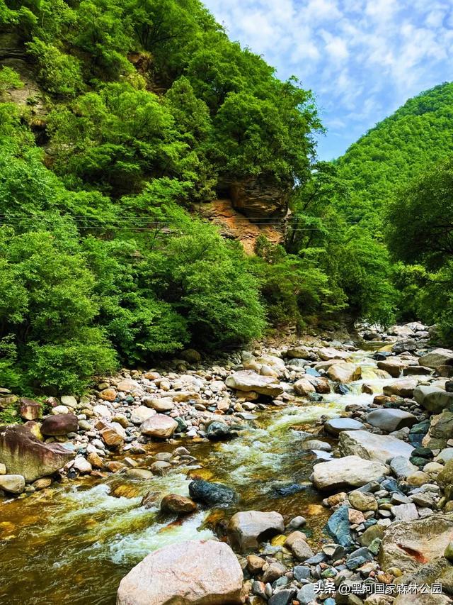 西安山美水美的清凉秘境！夏天来黑河避暑旅游太爽了！