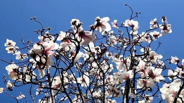 会理：一座鲜活的历史名城，一个滚烫的新春佳节