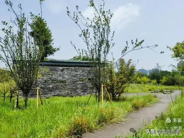 这个集休闲娱乐、运动和生态功能于一体的大型公园你可去过？