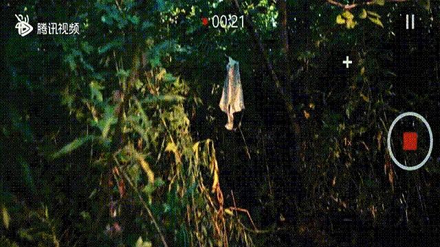 首播两小时热度第一，都市异闻上大分，热巴表现观众给出意外评价