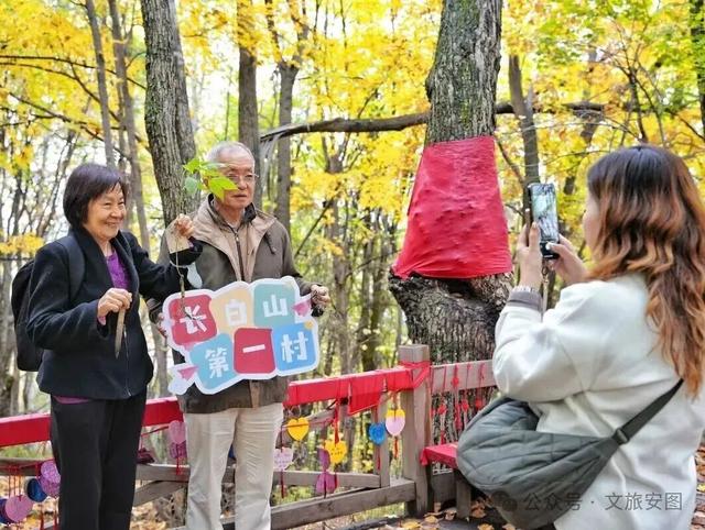 长白山第一村：赴一场秋日“参”宴
