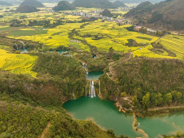 去罗平，追中国第一抹春！油菜花海已进入最佳观赏期，不要错过！