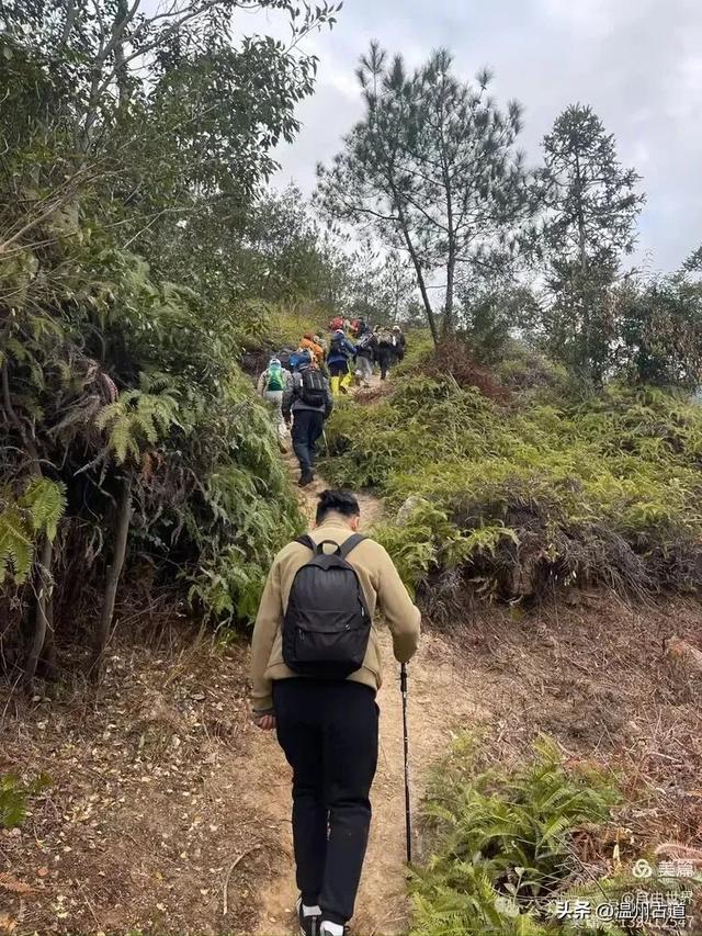一步一景,奇石不断!温州这处奇石纷呈的的免费景区你可去过?