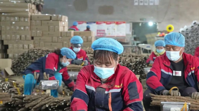 河北电商价格战震撼全国 ！义乌商家破防，年快递量冲破17亿件？