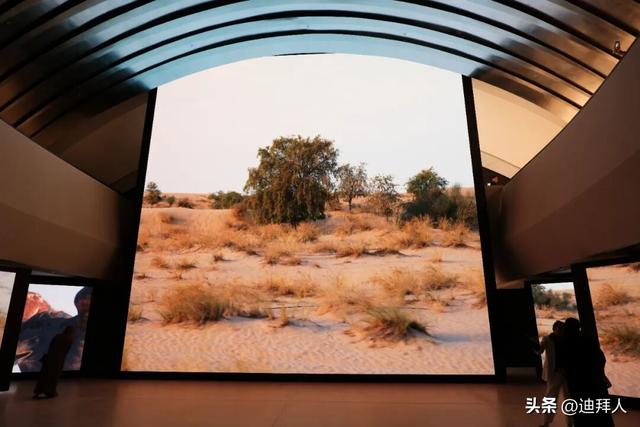 阿布扎比新地标！实地打卡「扎耶德国家博物馆」（附参观指南）