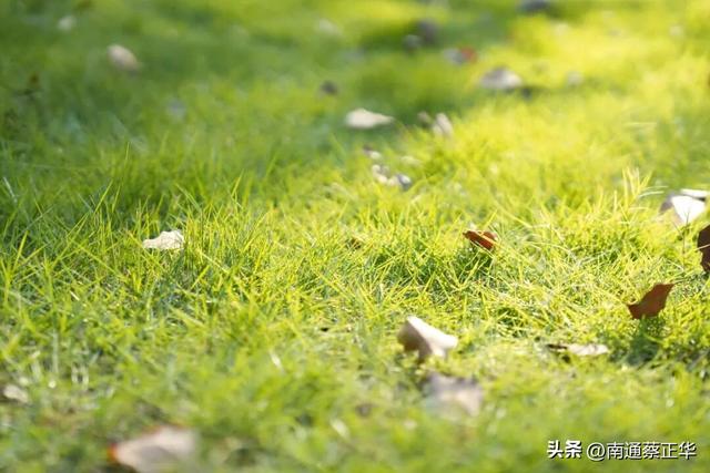 如东的秋天，都藏在这里了→