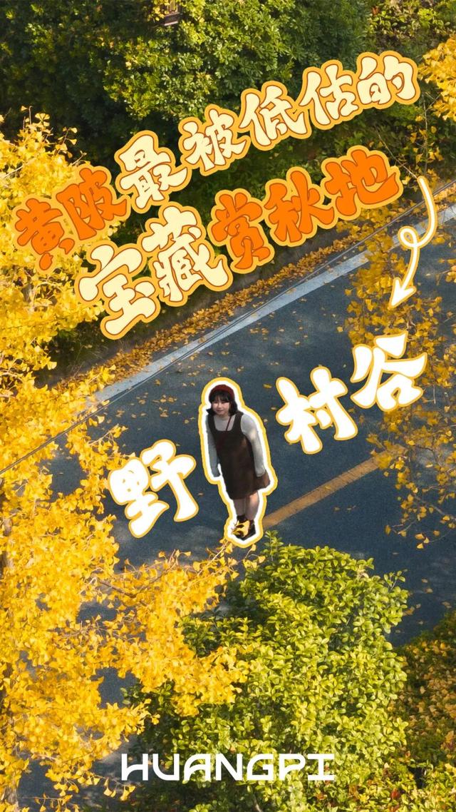 绝了！黄陂最被低估的宝藏赏秋地！