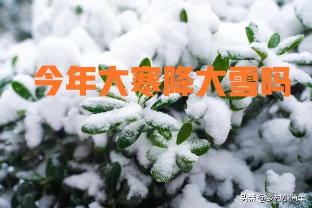 "八月廿六大雨下,大寒大雪压枝头",今日八月廿六,今年大寒降大雪?